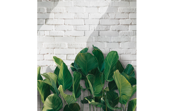 Фотошпалери LeoPrint Балі - Зображення XIXS7ZM_PW-0033.jpg