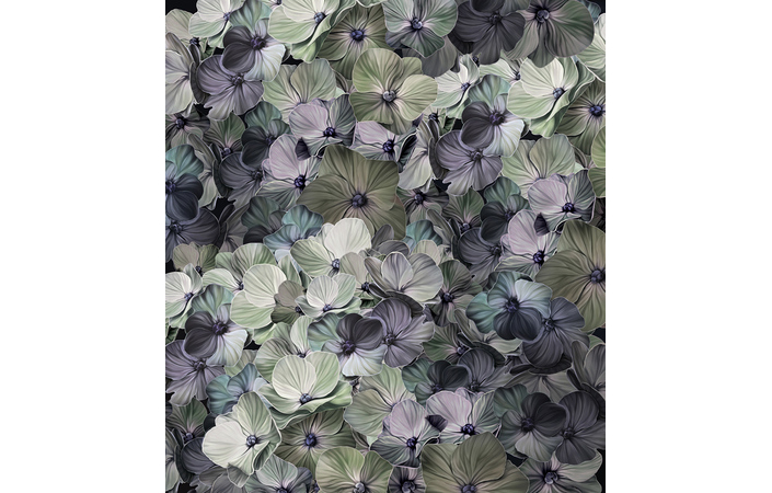 Фотошпалери LeoPrint Гортензія - Зображення XIXS7ZM_PW-0037.jpg