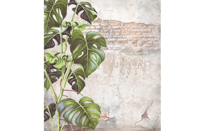 Фотошпалери LeoPrint Монстера - Зображення XIXS7ZM_PW-0040.jpg