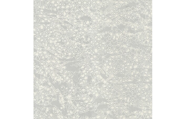 Шпалери Emiliana Parati Roberto Cavalli № 8 19034 - Зображення XOQ3ABT_19034.jpg