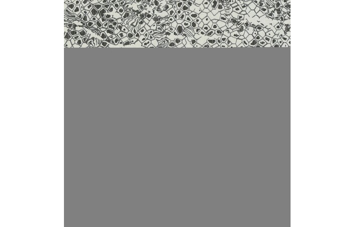 Шпалери Emiliana Parati Roberto Cavalli № 8 19035 - Зображення XOQ3ABT_19035.jpg