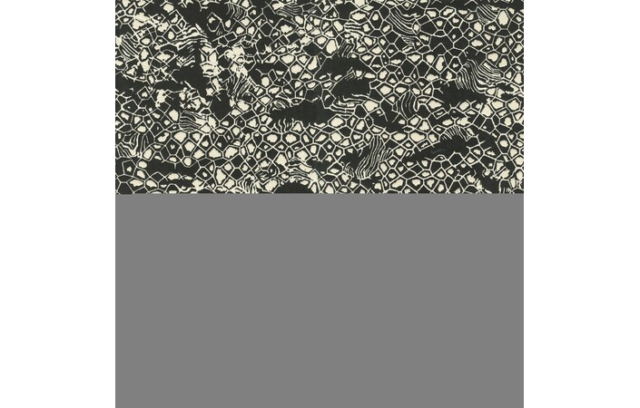 Шпалери Emiliana Parati Roberto Cavalli № 8 19036 - Зображення XOQ3ABT_19036.jpg