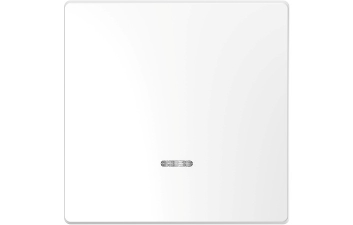 D-Life КЛАВ. 1-на для LED БІЛ. ЛОТОС - Зображення shnider_MEG3320-6035.jpg