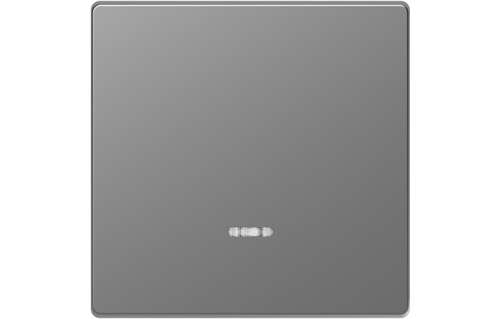 D-Life КЛАВІША 1-на для LED НЕРЖ.СТАЛЬ - Зображення shnider_MEG3320-6036.jpg