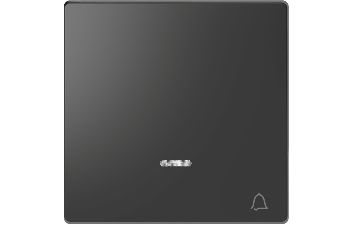 D-Life КЛАВІША для LED дзв. АНТРАЦИТ - Зображення shnider_MEG3325-6034.jpg