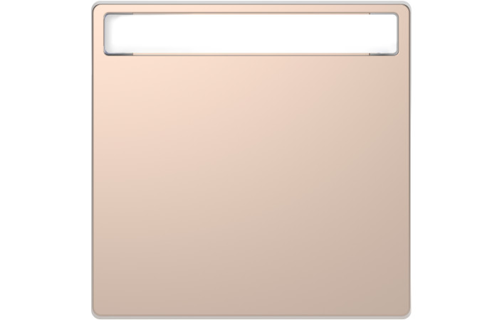 D-Life КЛАВІША з пол. д-нап ШАМПАНЬ - Зображення shnider_MEG3360-6051.jpg