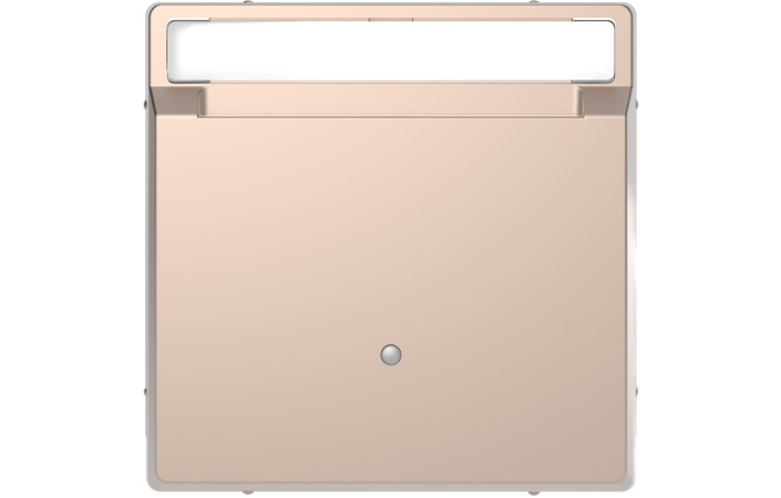 D-Life ВИМ. з ключ.-картою ШАМПАНЬ - Зображення shnider_MEG3854-6051.jpg