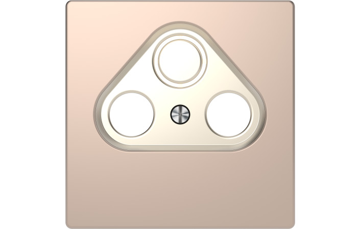 D-Life ЦЕНР. НАКЛ. TV розетка ШАМПАНЬ - Зображення shnider_MEG4123-6051.jpg