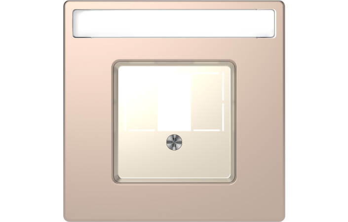 D-Life ЦЕНТР. НАКЛ. TAE-Audio ШАМПАНЬ - Зображення shnider_MEG4250-6051.jpg