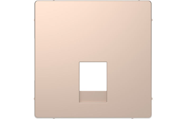 D-Life ЦЕНТР. НАКЛ. 2*RJ11-12 ШАМПАНЬ - Зображення shnider_MTN4215-6051.jpg