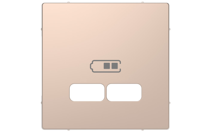 D-Life ЦЕНР. НАКЛ. USB ШАМПАНЬ - Зображення shnider_MTN4367-6051.jpg