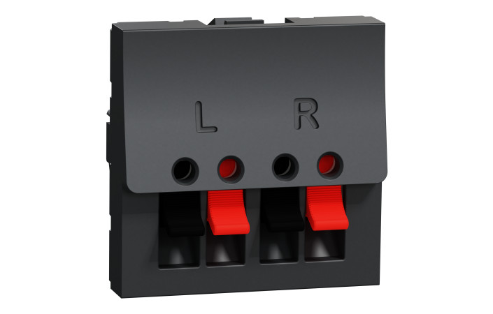 Аудіорозетка 2 модулі антрацит - Зображення shnider_NU348654.jpg