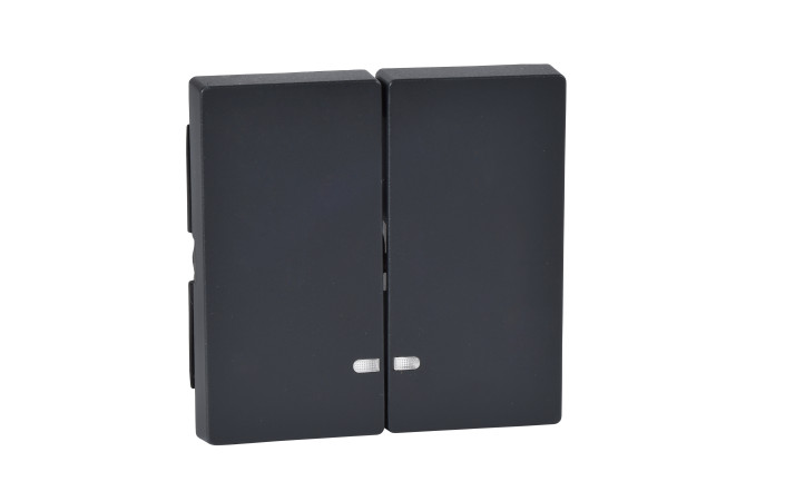 SM ДВІ КЛАВІШИ З ВІКОНЦ.ДЛЯ ІНД.АНТР. - Зображення shnider_ODAP123187.jpg