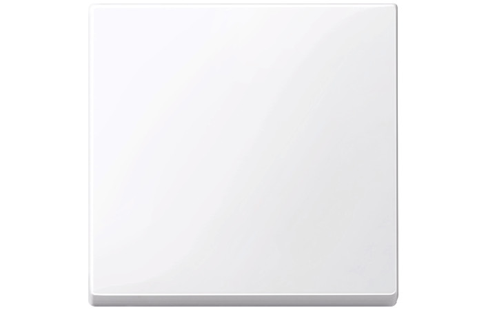 SYSTEM M КЛАВІША,АКТИВНО БІЛИЙ БЛИСК. - Зображення shnider_P114573.jpg