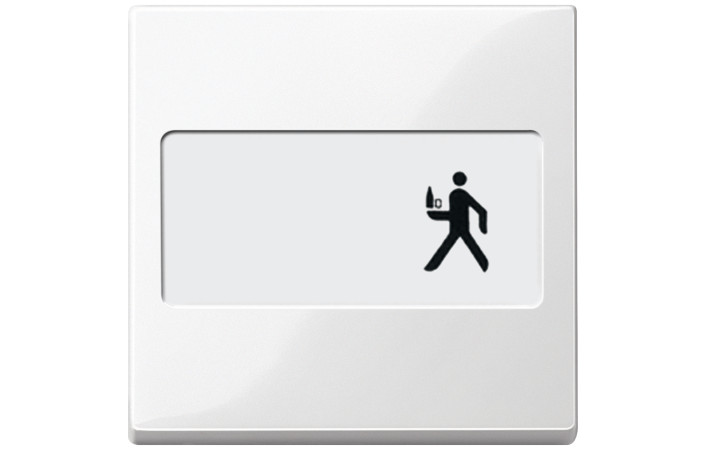 SM КЛАВІША, З ПОЛЕМ Д-НАПИСУ, ПОЛ-БІЛ - Зображення shnider_P114578.jpg