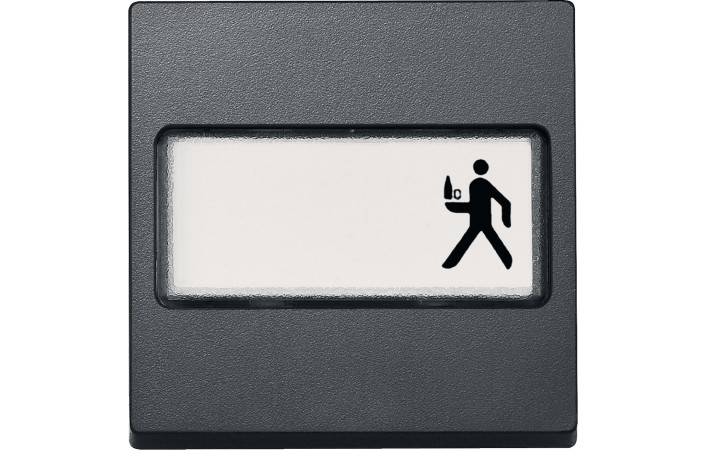 SM КЛАВІША,З ПОЛЕМ Д-НАПИСУ, АНТРАЦИТ - Зображення shnider_P114605.jpg