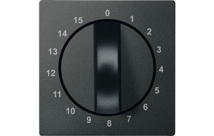 SM НАКЛАДКА Д-М-МУ ТАЙМЕРА 15ХВ, АНТР - Зображення shnider_P115338.jpg