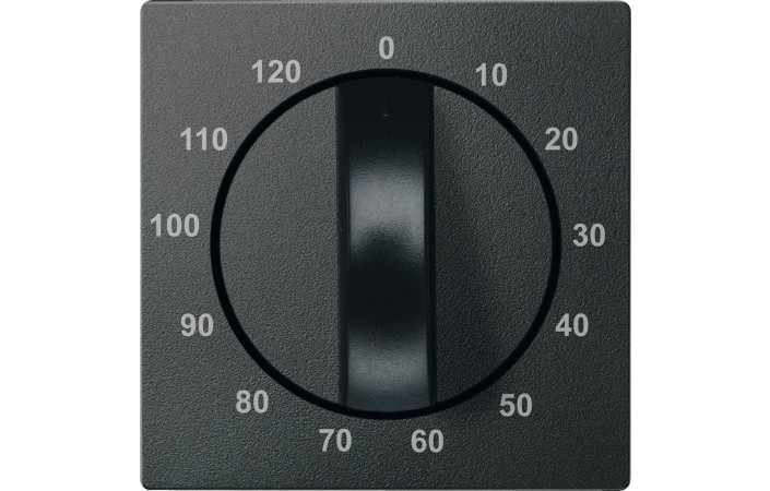 SM НАКЛАДКА Д-М-МУ ТАЙМЕРА 120ХВ, АНТР - Зображення shnider_P115342.jpg