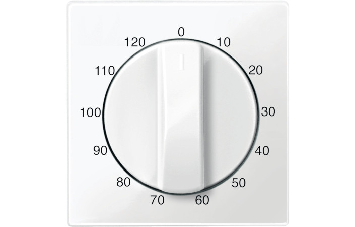 SM, НАКЛАДКА ТАЙМЕРА 120 ХВ, ПОЛ-БІЛ - Зображення shnider_P115414.jpg