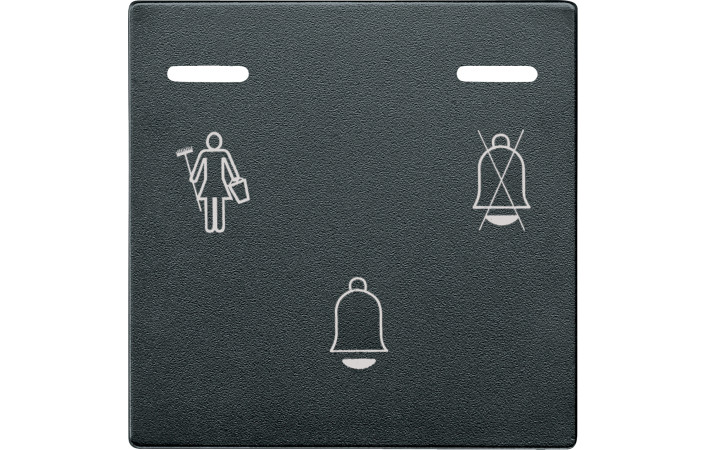 SM КНОПКА ДЗВІНКА З СВІТЛ. ІНДИК., АНТР. - Зображення shnider_P115706.jpg