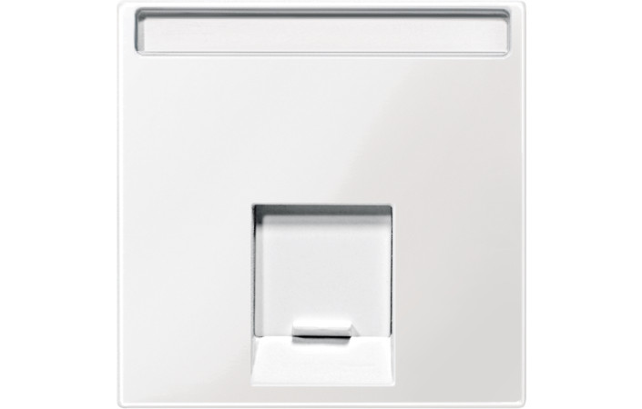 SM НАКЛАДКА ДЛЯ З'ЄДНАННЯ МОДУЛЮ 1 ПОСТ, ПОЛЯРНО-БІЛИЙ - Зображення shnider_P123349.jpg