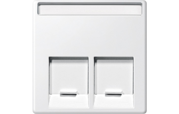 SM НАКЛАДКА З'ЄДН. МОД. 2 ПОСТА, ПОЛ-БІЛ - Зображення shnider_P123352.jpg