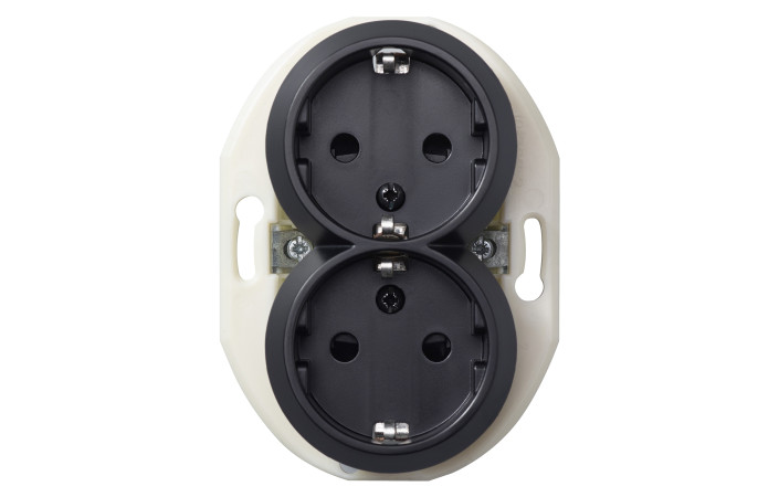 ПОДВ. РОЗ. З ЗК. ЧОРН. - Зображення shnider_P140895.jpg