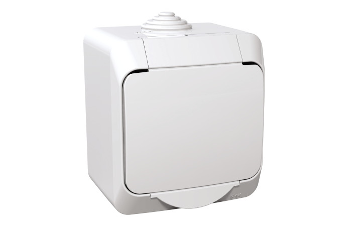 РОЗЕТКА ФРАН. СТАНД. CEDAR PLUS - Зображення shnider_P90255.jpg