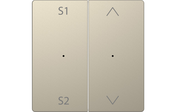 D-Life P-Link КЛАВІША 2-на S1-S2, САХАРА - Зображення shnider_PIO00017652.jpg