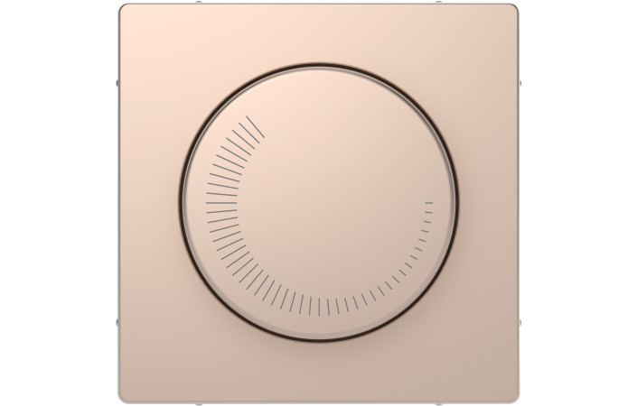 D-Life Ц. НАК. регул. част. об., ШАМПАНЬ - Зображення shnider_PIO00017682.jpg