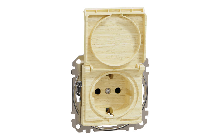 Розетка з заземленням та зі шторками, з кришкою Береза Sedna Elements - Зображення shnider_SDD180024_IOP-def_WD.jpg
