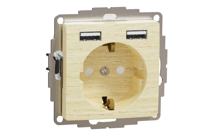 Розетка з заземленням + 2 х USB типу А, Береза Sedna Elements - Зображення shnider_SDD180052_IOP-def_WD.jpg