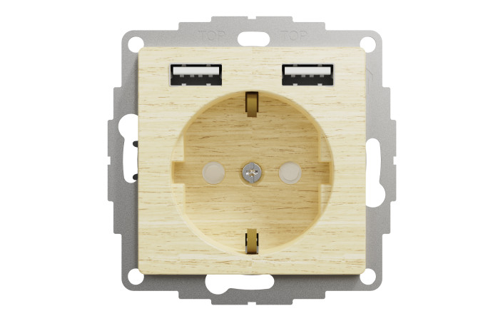 Розетка з заземленням + 2 х USB типу А, Береза Sedna Elements - Зображення shnider_SDD180052_IOP-front_WD20.jpg