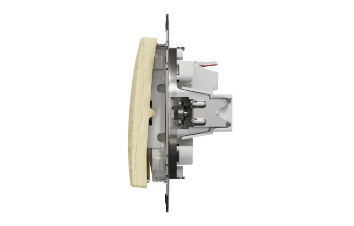 Одноклавішний вимикач Береза Sedna Elements - Зображення shnider_SDD180101_IOP-R_WD20.jpg