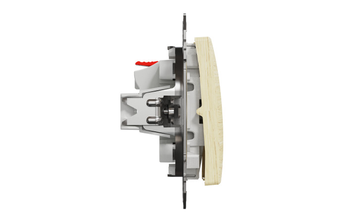 Кнопковий вимикач 10 А, Береза Sedna Elements - Зображення shnider_SDD180111_IOP-L_WD20.jpg