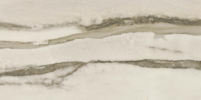 Плитка керамогранітна Amazonas Forest MAT 600x1200 Azteca - Зображення 127575037-a1973.jpg