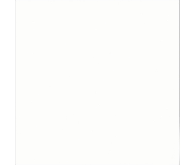 Плитка керамогранітна Super White POL 600x600 Raviraj - Зображення 154878757-057af.jpg