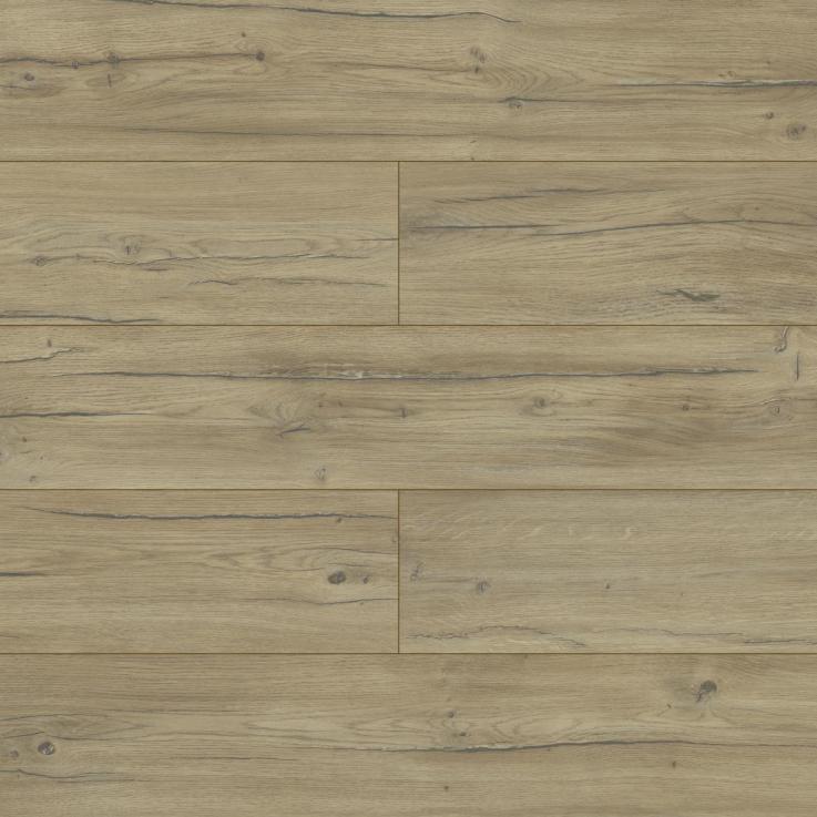 Ламінат SwissKrono Дуб Кондор 40254 - Зображення