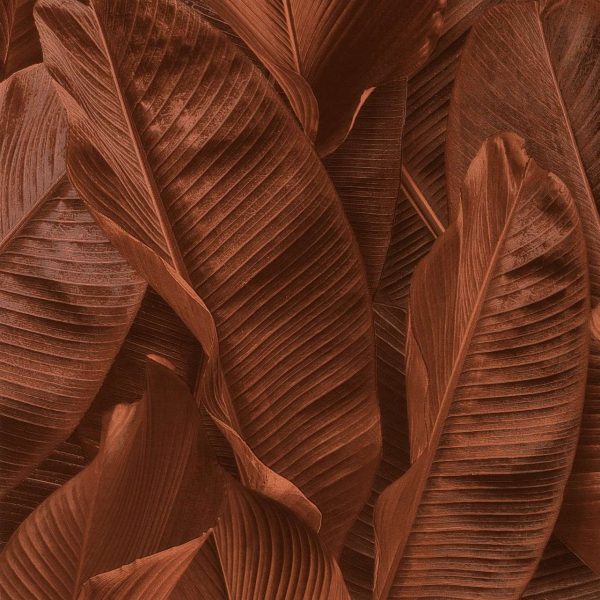 Шпалери Limonta Lymphae 17810 - Зображення