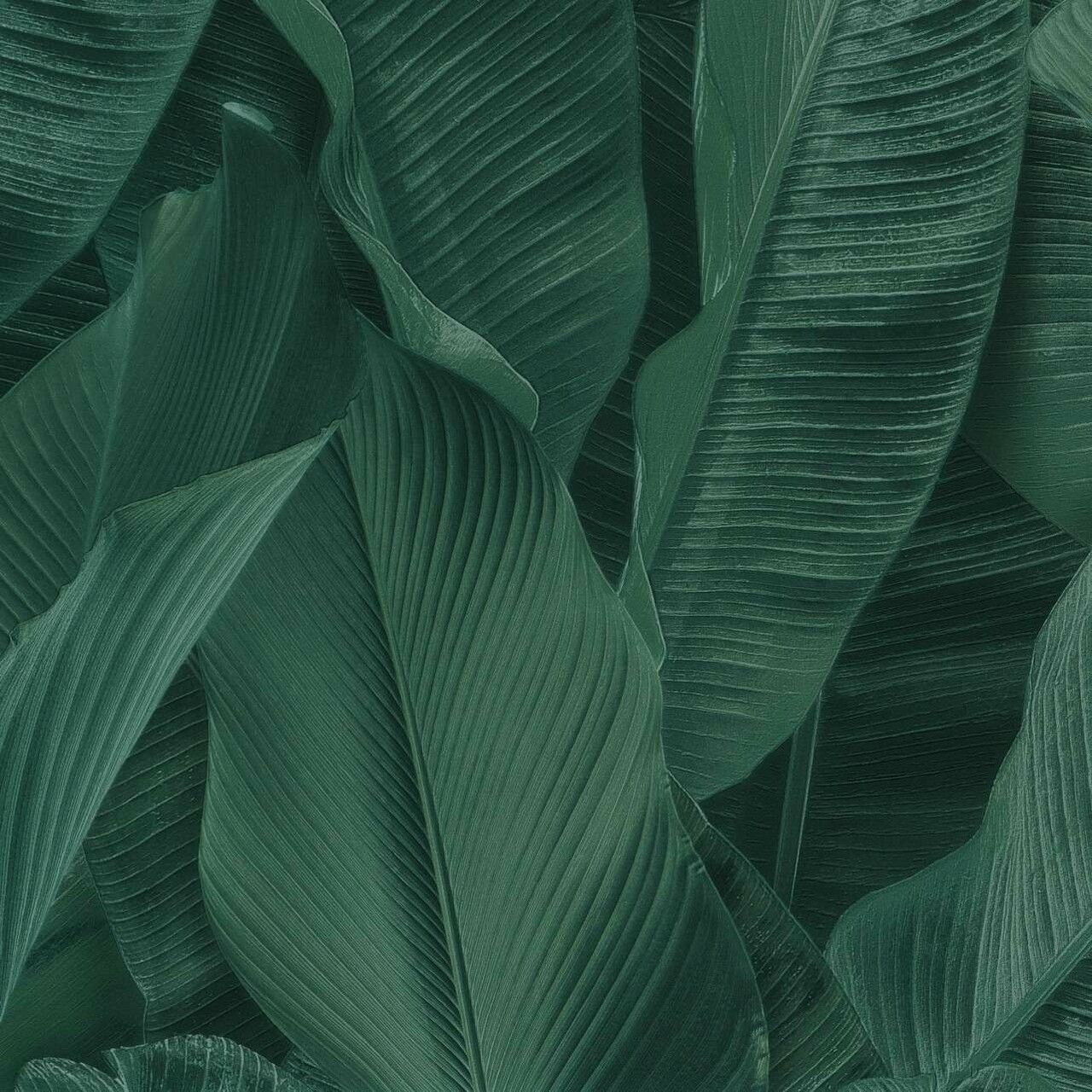 Шпалери Limonta Lymphae 17813 - Зображення