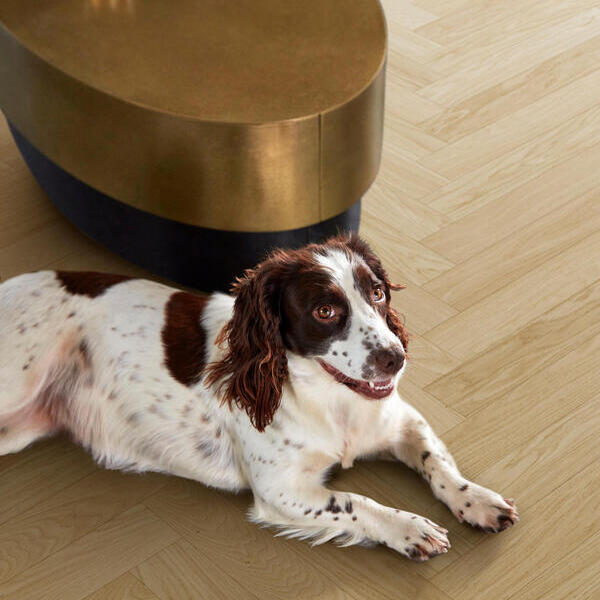 Інженерна дошка Parqwood Herringbone 61001491 В Nature Calm BVM V4M - Зображення 180509777-95321.jpg