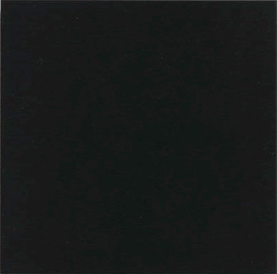 Плитка керамогранитная Monocolor Negro 200x200x10 Vives - Зображення