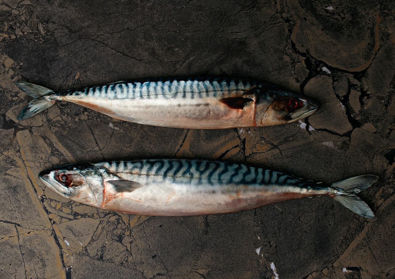 Плитка керамогранітна INF BR6 12 LP POL 600x1200 Imola - Зображення 1827275-2b7d9.jpg