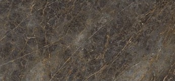 Плитка керамогранитная AE GOL6 278 LP 1200x2780 La Faenza - Зображення