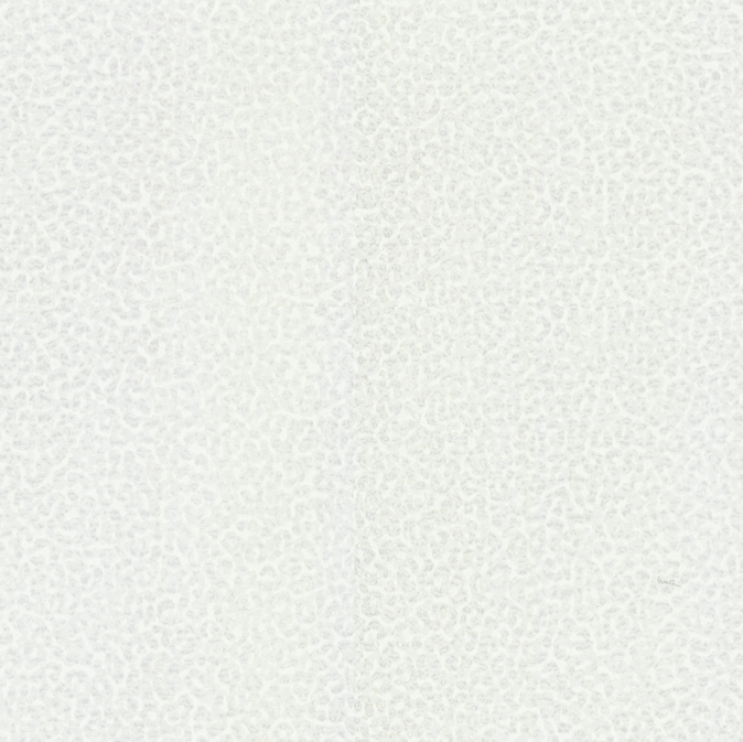 Шпалери Emiliana Parati Roberto Cavalli № 8 19020 - Зображення 186654189-d06b2.png