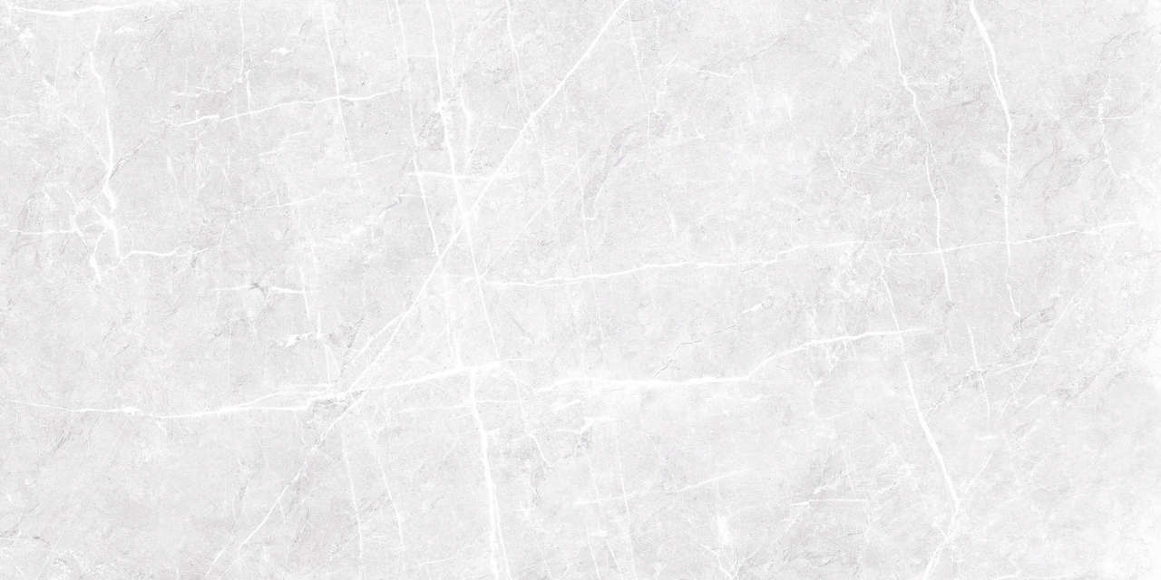 Плитка керамогранітна Etnos Silver POL 597x1197x8 Cerrad - Зображення 1875027-3aa2e.jpg