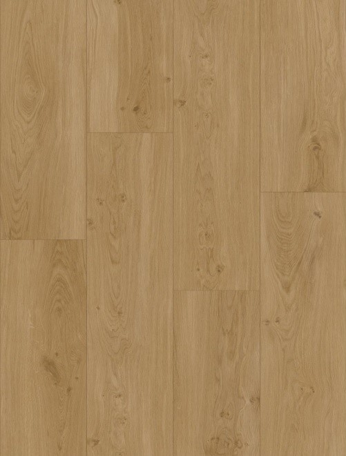 Вінілова підлога Oceania XL Winnipeg 5Gi 228x1500х6 Beaulieu Canada - Зображення