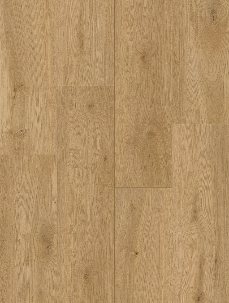 Вінілова підлога Oceania XL Colin 5Gi 228x1500х6 Beaulieu Canada - Зображення