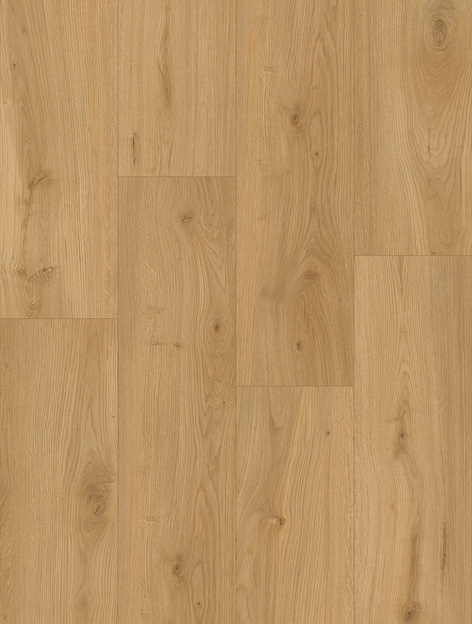 Вінілова підлога Oceania XL Morton 5Gi 228x1500х6 Beaulieu Canada - Зображення 188232863-f89af.jpg