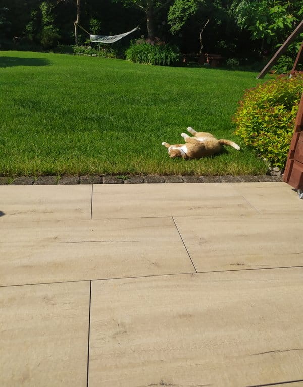 Плитка керамогранітна Suomi Cream 2.0 RECT 600x600x20 StarGres - Зображення 1888662-c331c.jpg